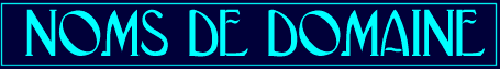 nom de domaine